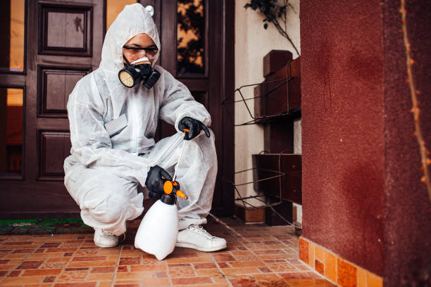 Reliable Bed Bug Control contractor in Louisville, IL by Nex Pest Control